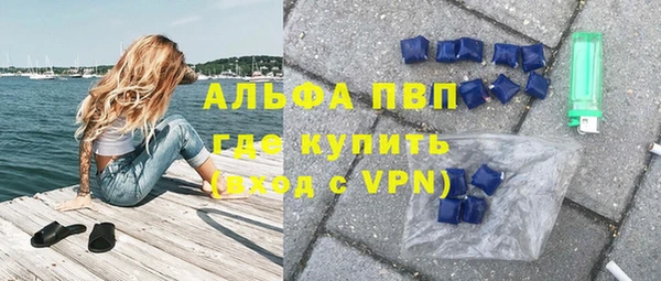 СК Волоколамск
