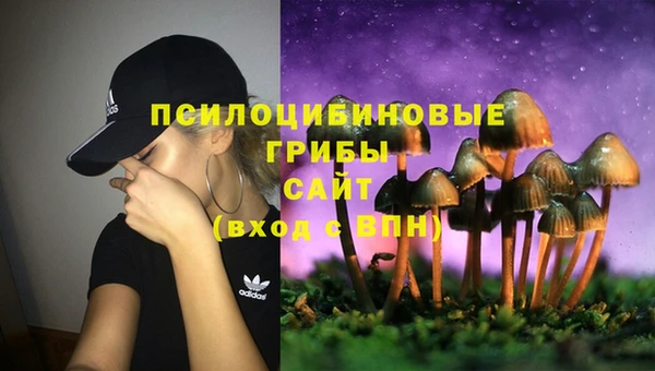 кристаллы Верея