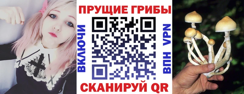hydra маркетплейс  это наркотические препараты  Псилоцибиновые грибы Psilocybe  где купить наркоту  Каменка 